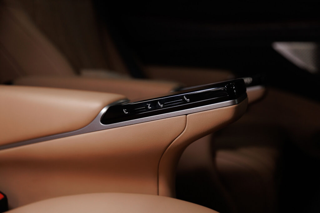 Denza DENZA D9 - 23