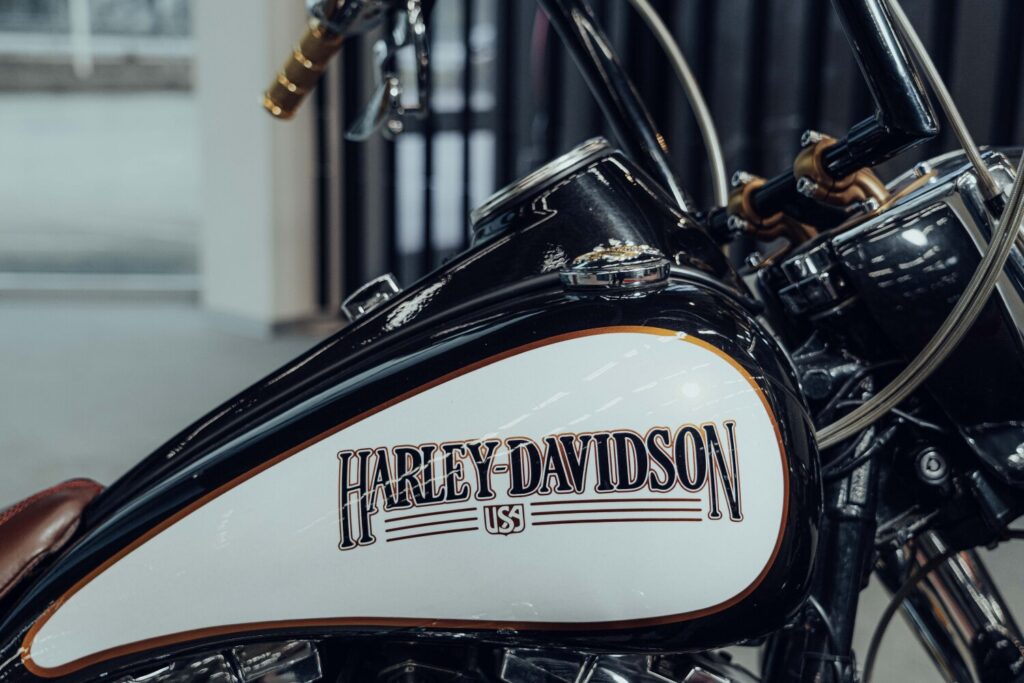 Harley HARLEY DAVIDSON FLSTCI - 6